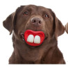 Hondenspeeltje Lippen