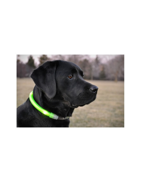 Lichtring Hond Nylon