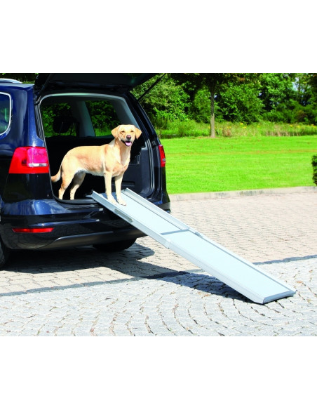 Loopplank Hond Auto Tot 50 kg
