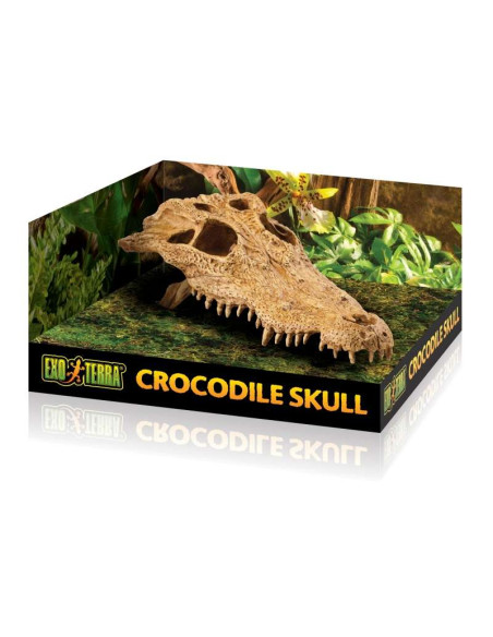 EXO TERRA Crocodile Skull