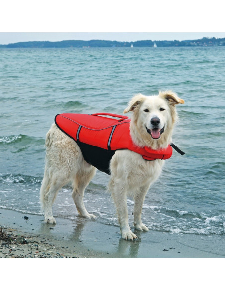 Zwemvest Hond Rood/Zwart