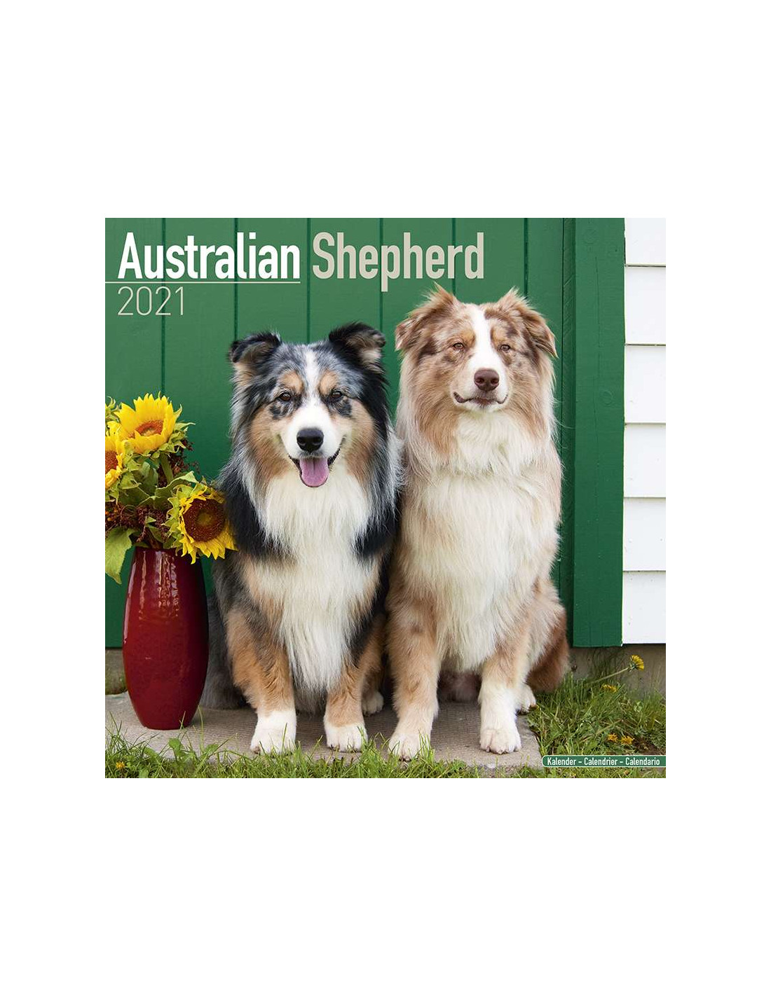 Kalender 2021 Australian Shepherd1/ online kopen