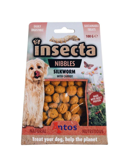 Insecta Nibbles Zijderups